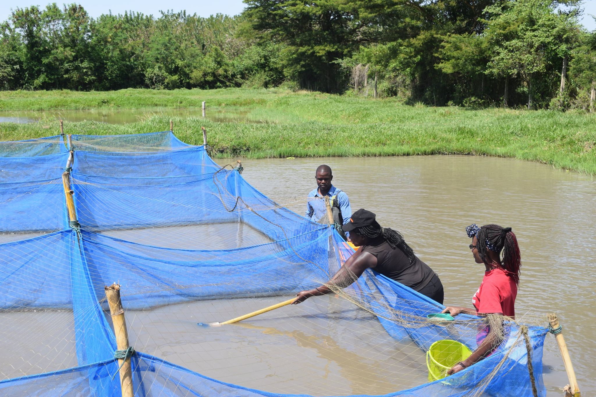 LBDA Introduces Innovative Aquaculture Technology to Enhance Fish Farming Efficiency