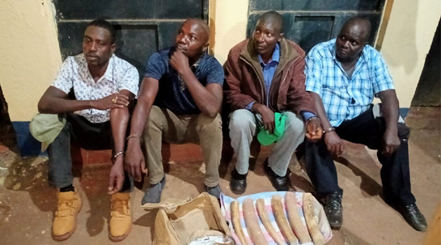 Police arrest 4 suspects with 6.8kg cache of elephant tusks in anti-ivory raid