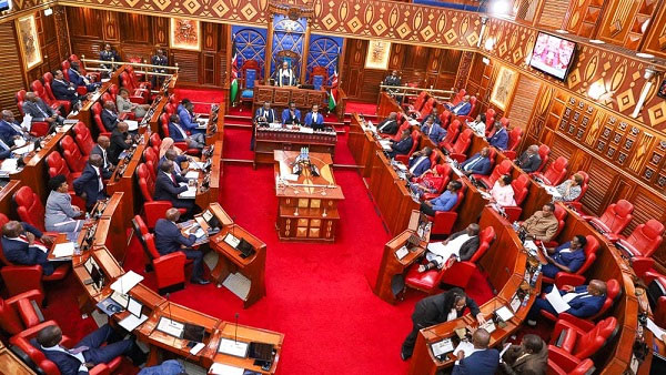Senate approves Sh50bn in additional funding to counties amid cuts