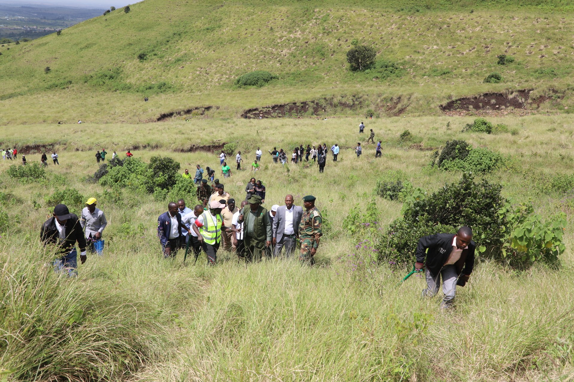 Is Kenya on course to plant 15 billion trees? Survival gaps threaten 2032 target