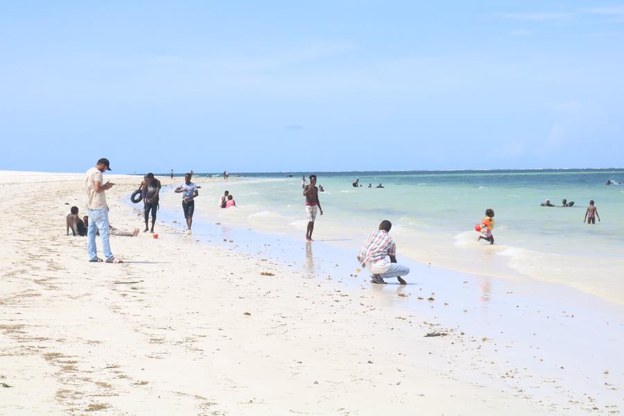 Kenya’s coastal communities embrace seaweed farming amid livelihood transformation