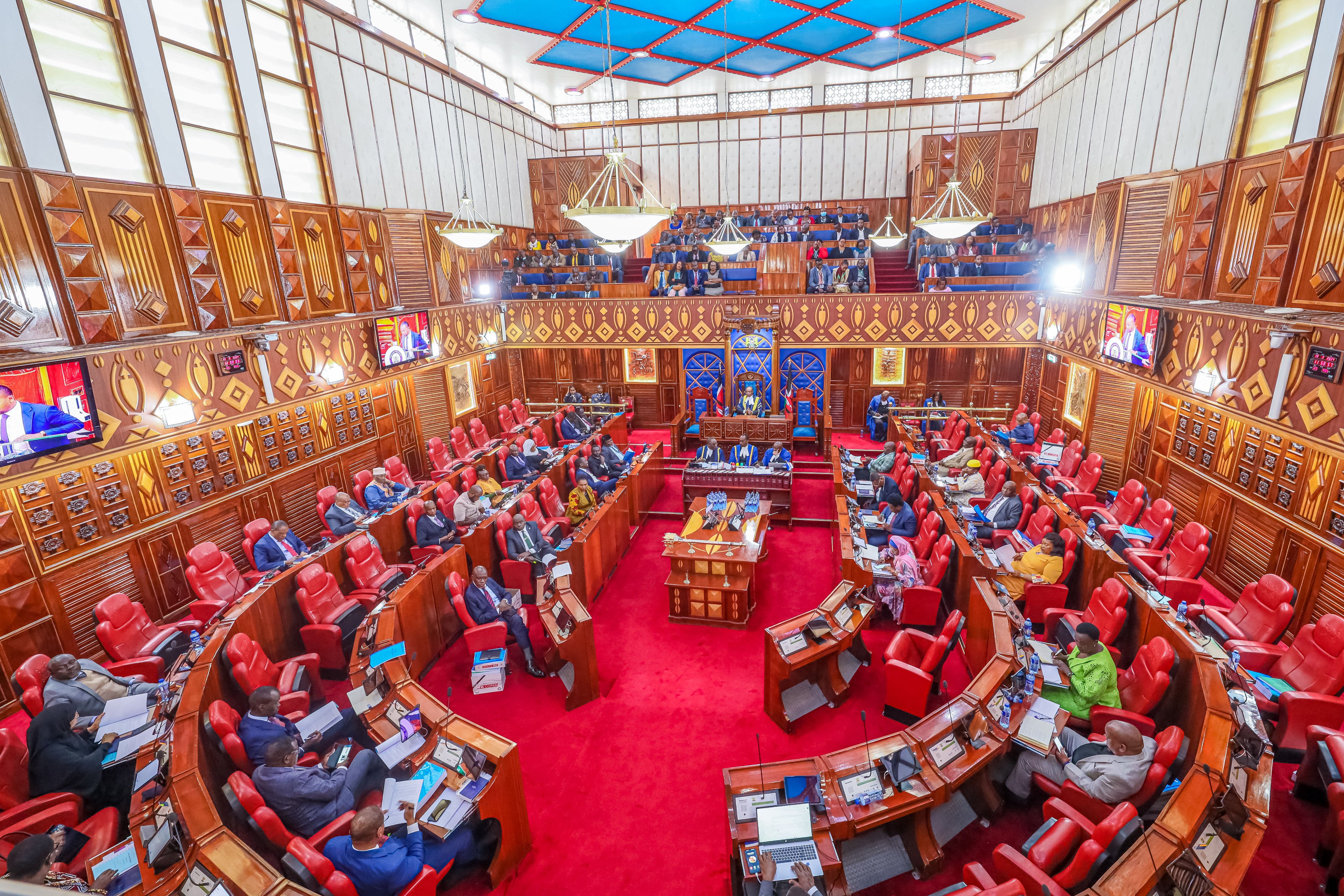 Senate invites public views over 2026 Budget policy and 2025 Debt Management Strategy