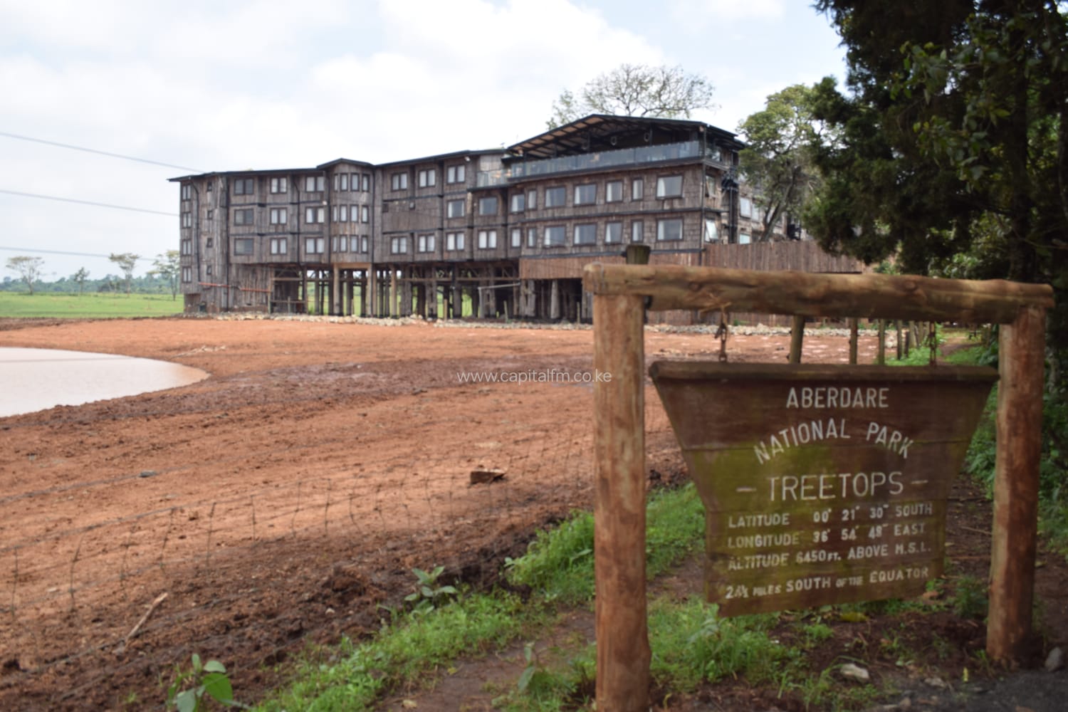 Iconic Treetops Hotel in Aberdares Forest reopened after extensive renovations
