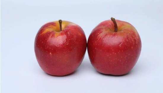Fungi to the rescue: South African scientists use innovative approach to protect apple trees