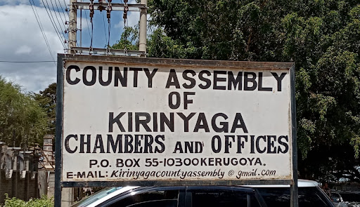 Chaos as Kirinyaga MCAs disagree over removal of Majority Leader Kibinga