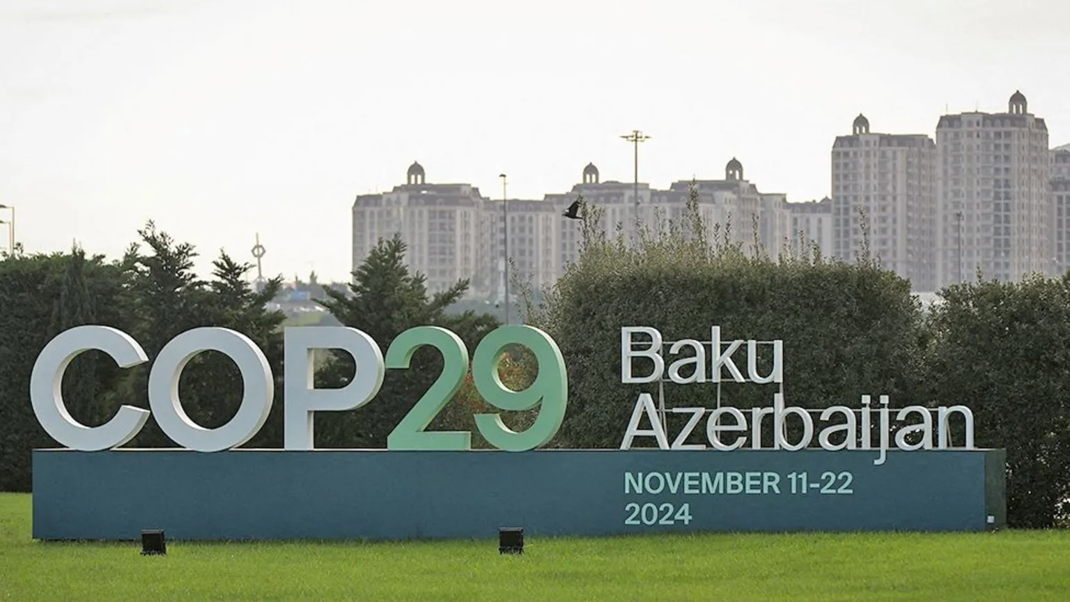 COP29 Scores Big With Breakthrough on Carbon Credits Amid Calls for Increased Climate Finance