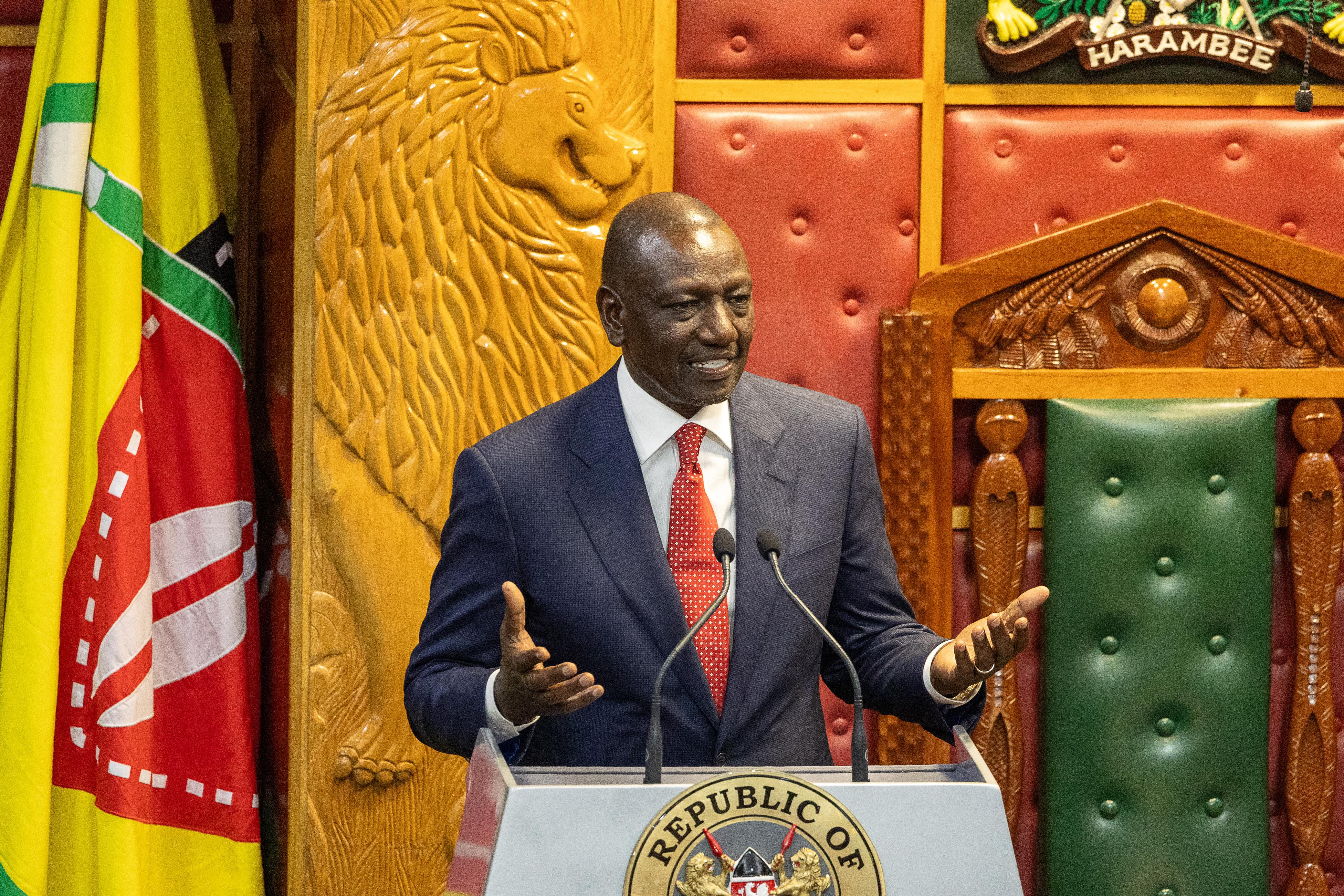 Ruto Condemns Illegal Arrests, Urges Kenyans to Report Extrajudicial Actions
