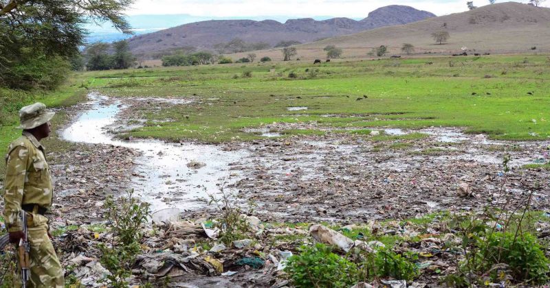 KWS Appeals for Calm Amid Protests Over Missing Man in Lake Nakuru National Park