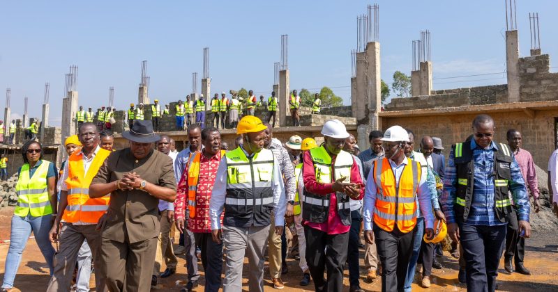 President Ruto says Raila best suited for AU Comission top job