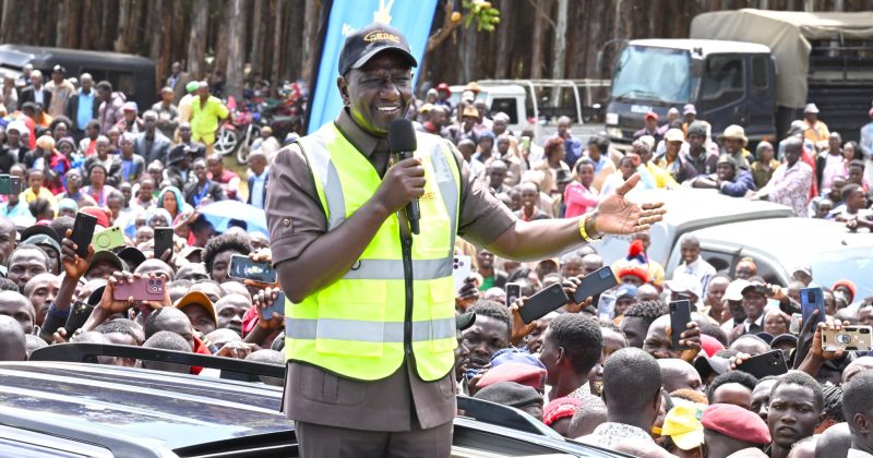 Ruto urges youth to monetize social media use responsibly