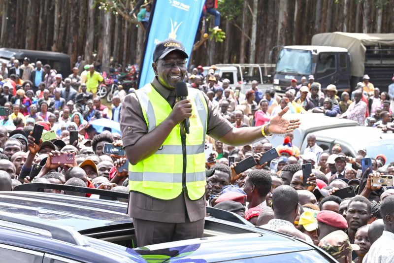 Ruto urges youth to monetize social media use responsibly