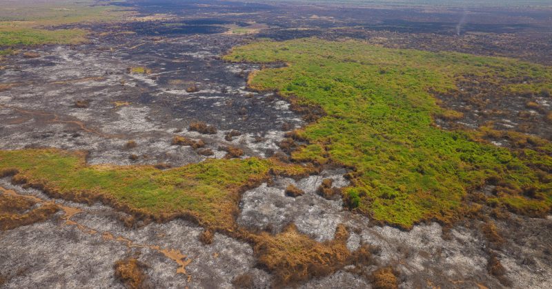 Weatherman Warns of Increased Fire Risk in Northeastern Region Due to Below-Average Rainfall