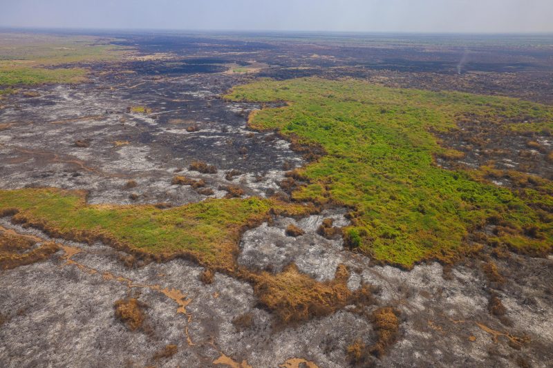 Weatherman Warns of Increased Fire Risk in Northeastern Region Due to Below-Average Rainfall