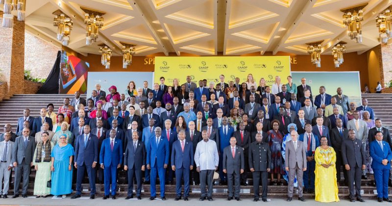 Ruto Urges African Countries to Collaborate in Building Resilient Food Systems
