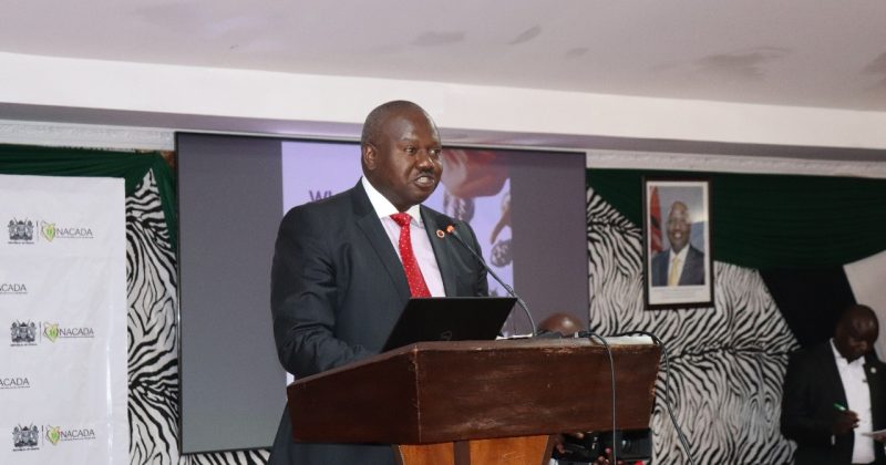 NACADA partnering with Univesities to tackle drug abuse among students