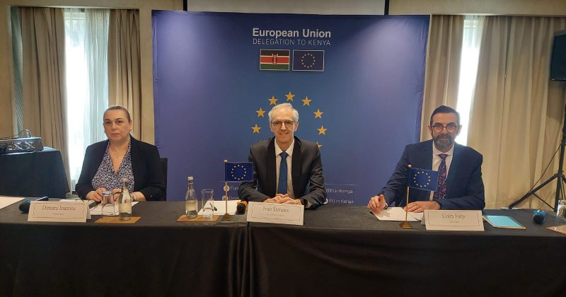 EU urges swift appointment of new IEBC Commissioners for timely electoral reforms