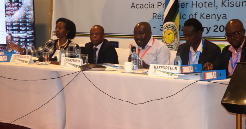 Kenya roots for enhanced cooperation to drive transboundary regional projects forward
