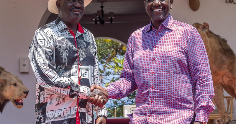President Ruto thanks Kenyans for unity during Raila’s failed AUC bid