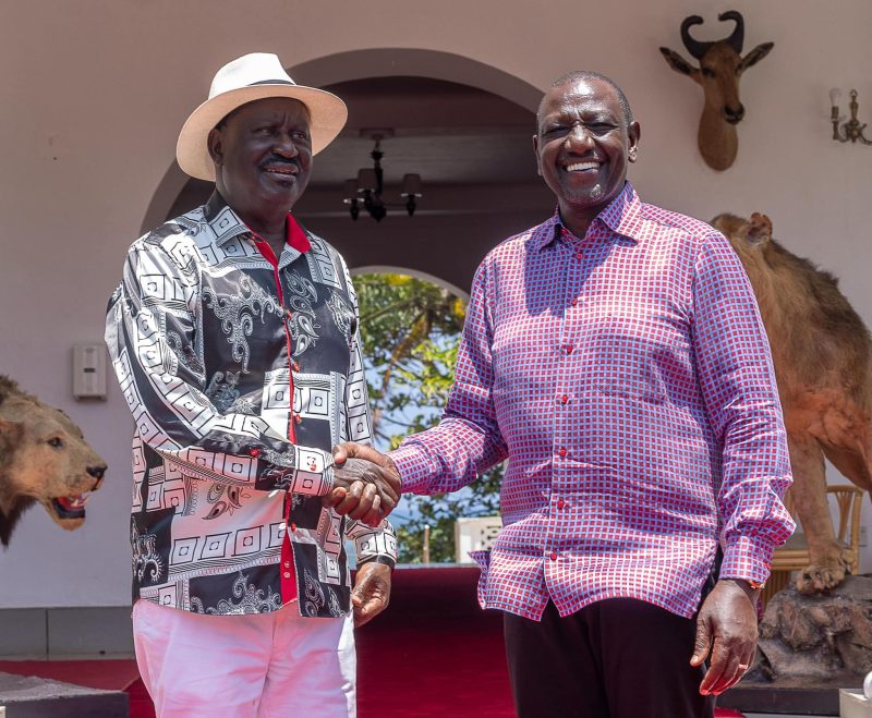 President Ruto thanks Kenyans for unity during Raila’s failed AUC bid