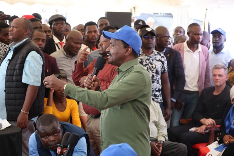 Kalonzo, Wamalwa describe Ruto-Raila deal as a betrayal to Kenyans