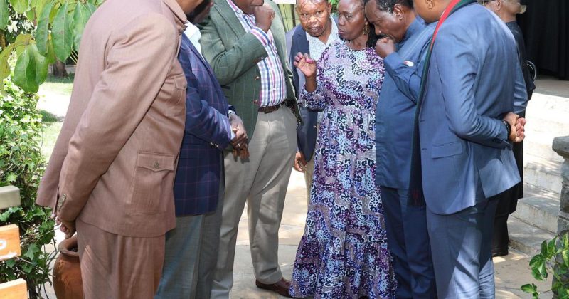 Karua leads inaugural meeting of key opposition figures amid growing speculation of political alliance