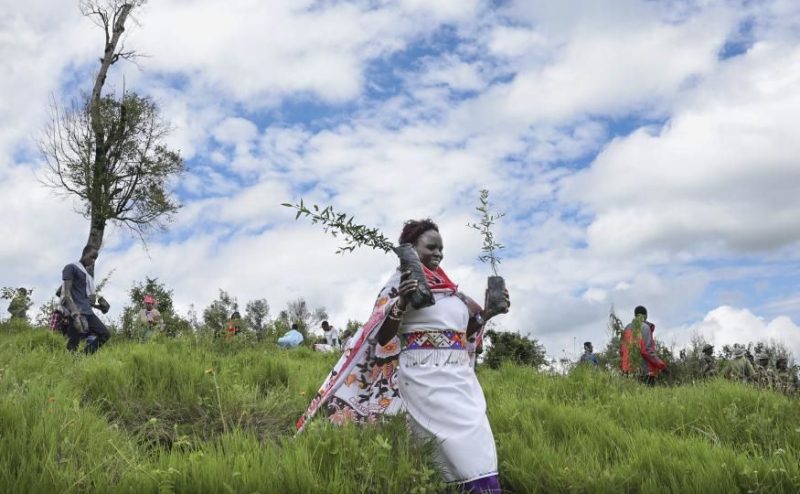 Land Restoration efforts boosted with launch of ‘Restore Local’ initiative