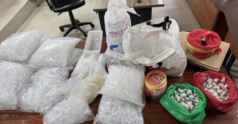 Four Plead Guilty in Landmark Ant Smuggling Case as Kenya Cracks Down on Biopiracy