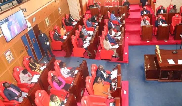 Chaos at Busia County Assembly after two MCAs exchange blows