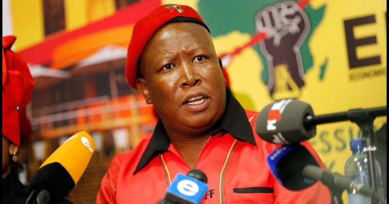 (WATCH) EFF leader Malema blasts Ramaphosa for ‘cowardice’ at WH, slams US ‘white genocide’ claims