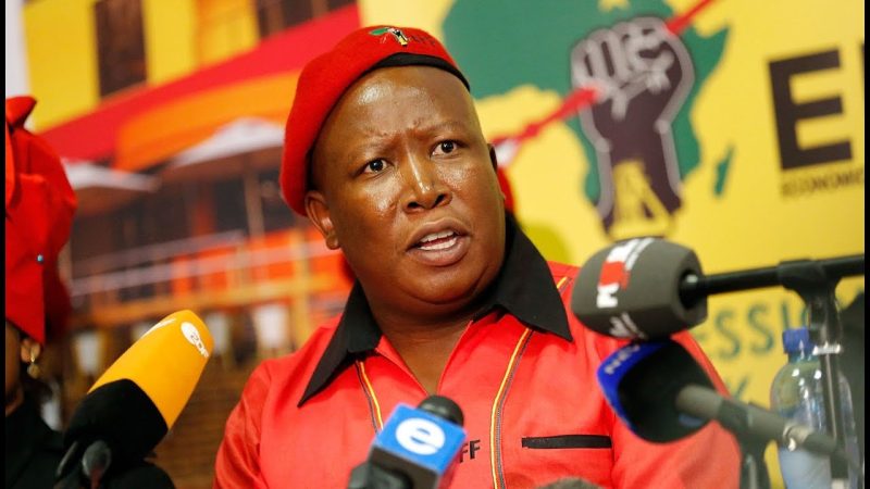 (WATCH) EFF leader Malema blasts Ramaphosa for ‘cowardice’ at WH, slams US ‘white genocide’ claims