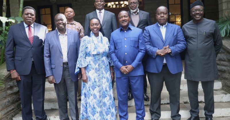 United Alternative Government to Tour Ukambani, Coast and Western Kenya