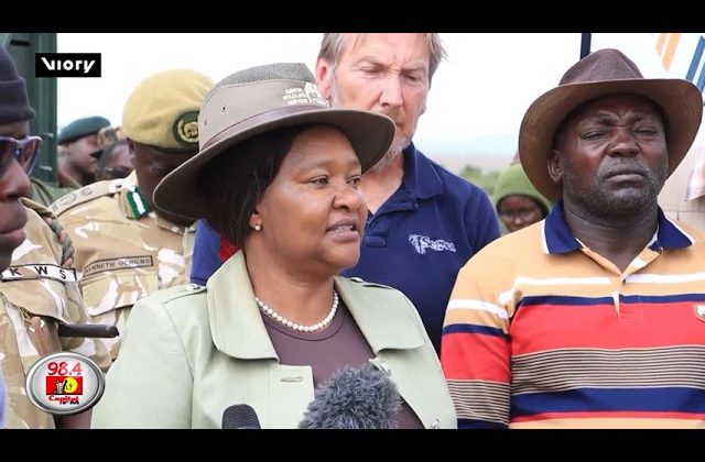 (WATCH) Kenya Launches Major Eastern Black Rhino Relocation to Expand Habitat