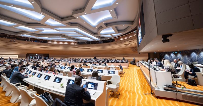 Resolution 2758 Guides the WHA on Taiwan’s Status