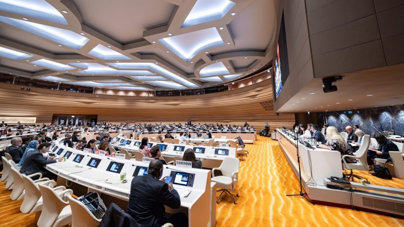 Resolution 2758 Guides the WHA on Taiwan’s Status
