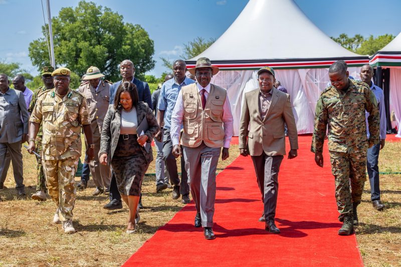 Govt streamlining compensation for human-wildlife conflict