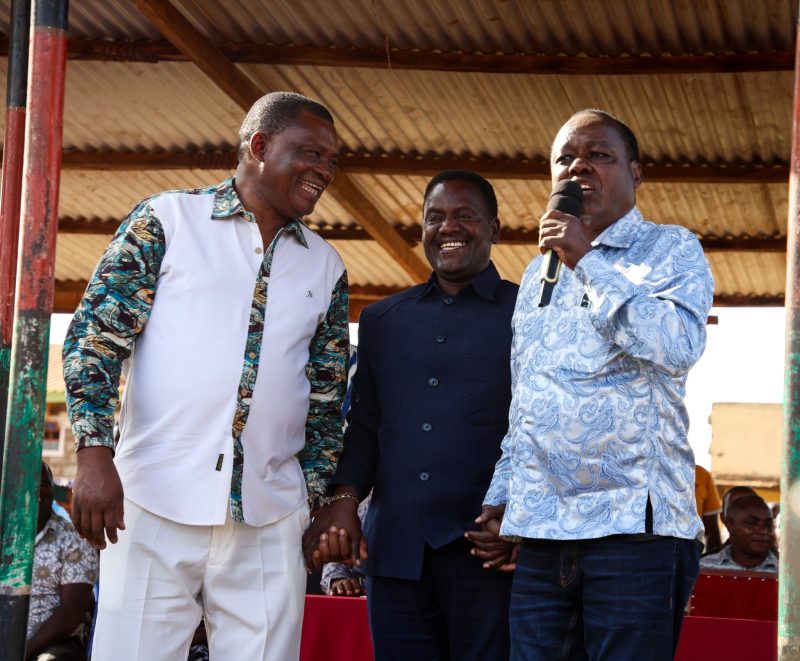 Newton Karish to fly DP flag in Mbeere North by-election
