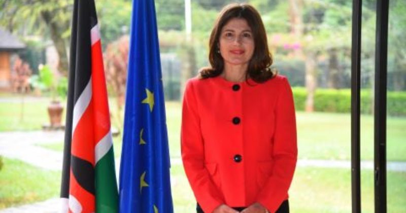 Watch Live! Kenya on the spot: EU Ambassador Henriette Geiger on Kenya’s financial blacklist