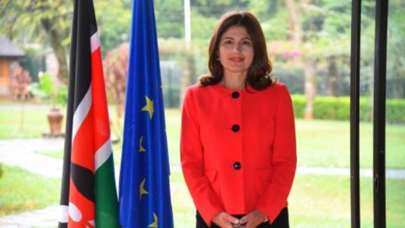 Watch Live! Kenya on the spot: EU Ambassador Henriette Geiger on Kenya’s financial blacklist