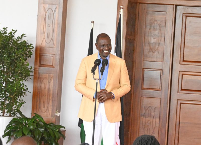 Diaspora remittances hit Sh638bn in 2024: President Ruto