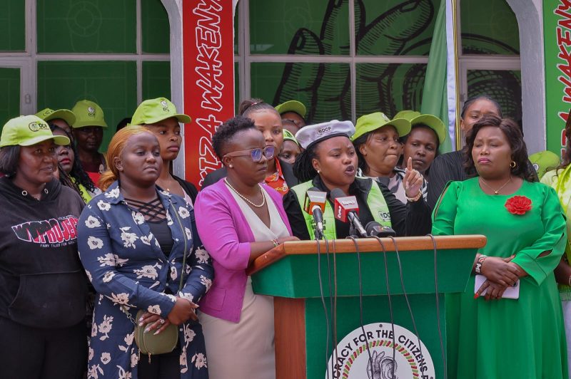 DCP leaders demand probe into alleged state-sponsored disruptions at opposition rallies