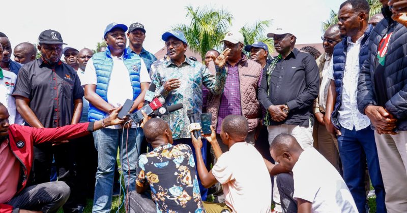 Kalonzo downplays flagbearer question as he leads allied opposition in Western tour