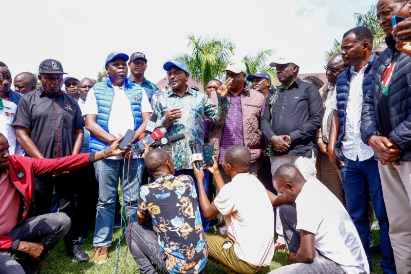 Kalonzo downplays flagbearer question as he leads allied opposition in Western tour