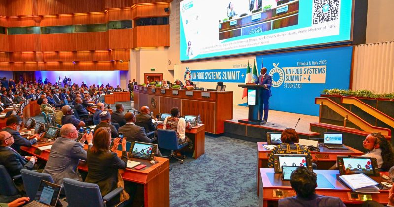 Ruto calls for new measures to accelerate hunger eradication