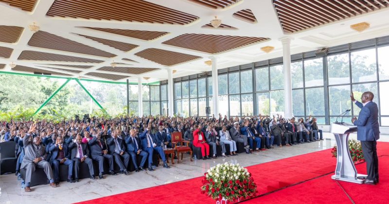 Govt to boost Muguka growing in Embu: President Ruto