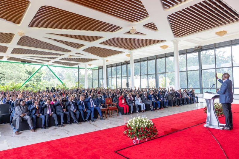 Govt to boost Muguka growing in Embu: President Ruto