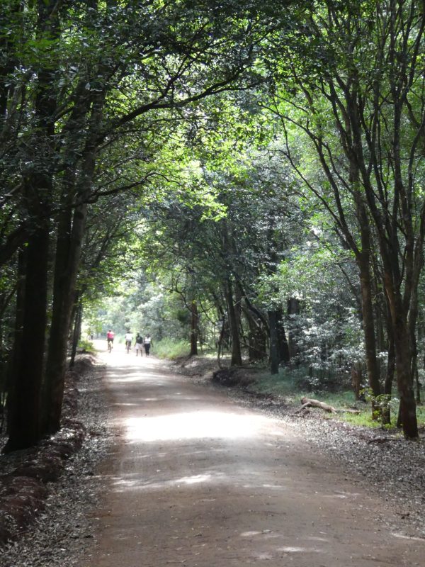 Friends of Karura Forest oppose KFS directive on e-Citizen payment