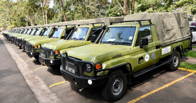 Holiday Rush: How Kenyans Can Enjoy Free Park Entry Before Year-End