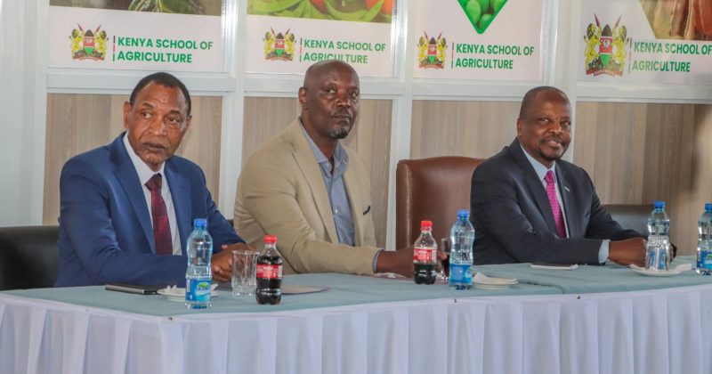 Over 300 Kenya School of Agriculture students set for paid internships in UK