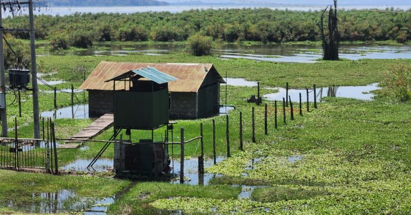 Over 4,000 displaced amid concerns of rising water levels around Lake Naivasha