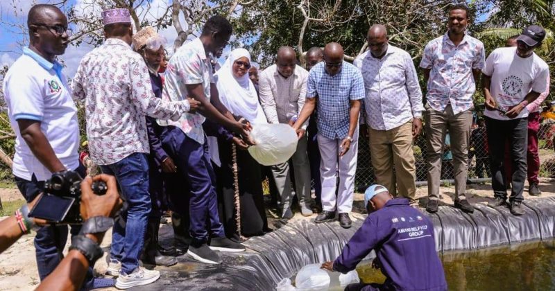 Kwale banks on aquaculture to enhance food security, sustainability